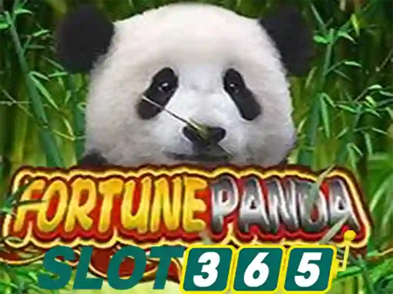 Tại sao Slot365 thu hút người chơi Tại sao Slot365 thu hút người chơi