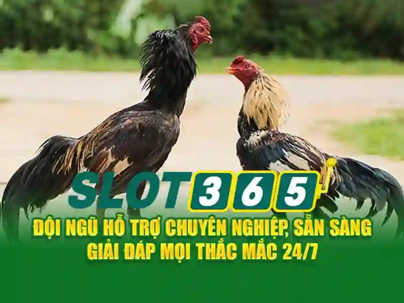 Slot365: Nền tảng slot trực tuyến hàng đầu dành cho người chơi Việt Slot365: Nền tảng slot trực tuyến hàng đầu dành cho người chơi Việt