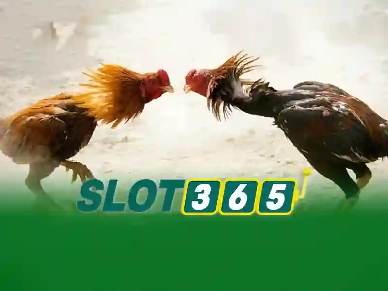 Các thể loại trò chơi có sẵn