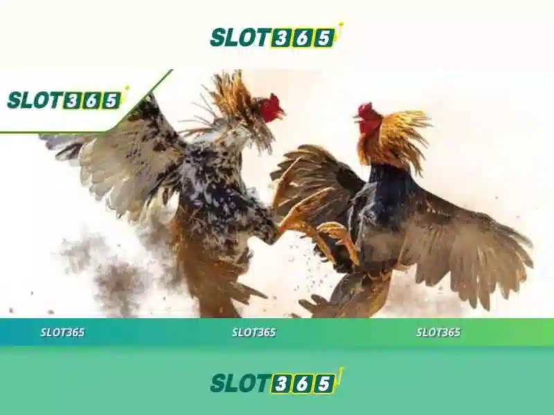 Slot365 - Trải nghiệm slot trực tuyến hàng đầu