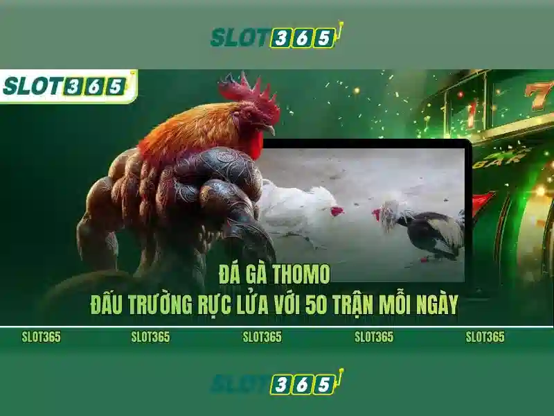 An toàn, thanh toán và hỗ trợ An toàn, thanh toán và hỗ trợ