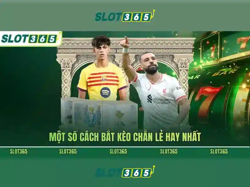 Slot365 là gì? Slot365 là gì?