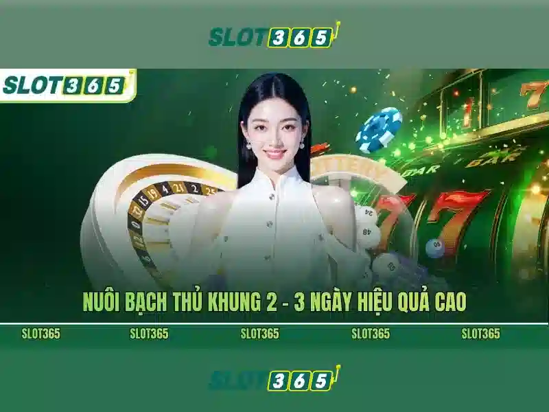 Danh mục trò chơi nổi bật tại Slot365