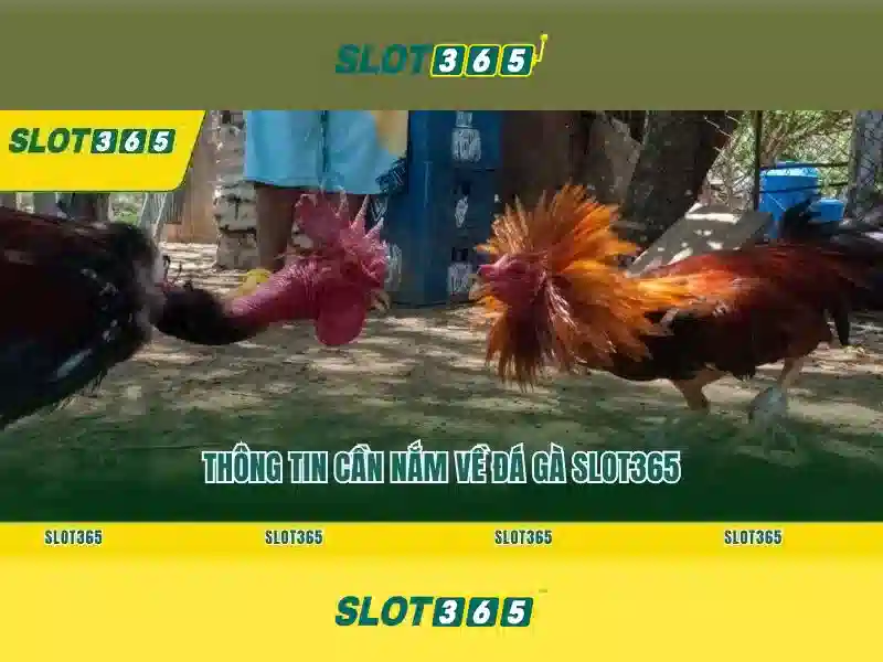 Trò chơi và danh mục Trò chơi và danh mục