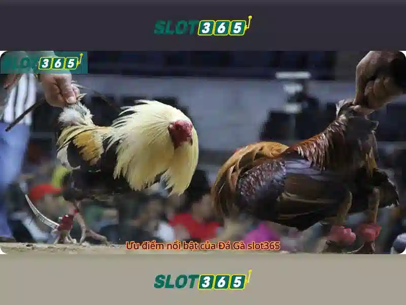 Cách chơi Slot365 và chiến lược hợp lý Cách chơi Slot365 và chiến lược hợp lý
