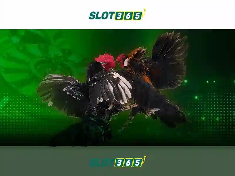 slot365: Nền tảng máy đánh bạc trực tuyến đáng tin cậy