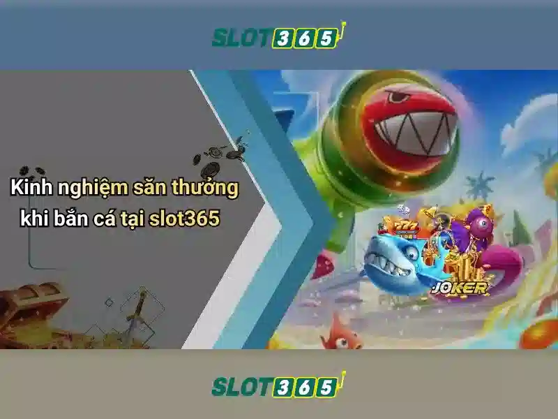 Nền tảng Slot365 và cách hoạt động