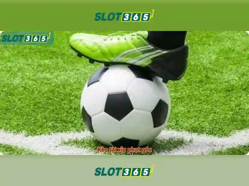 Slot365: Đánh giá và trải nghiệm người dùng
