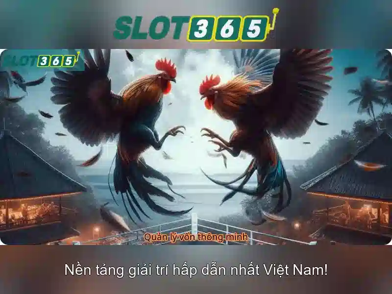 Khuyến mãi và chương trình thưởng Khuyến mãi và chương trình thưởng