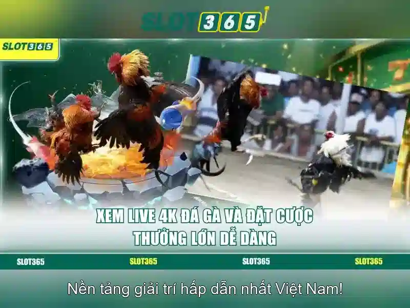 Slot365 - Nền tảng máy đánh bạc trực tuyến Slot365 - Nền tảng máy đánh bạc trực tuyến