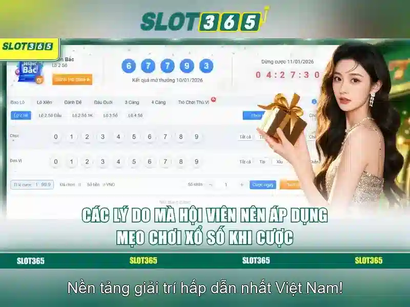 Slot365 là gì? Slot365 là gì?