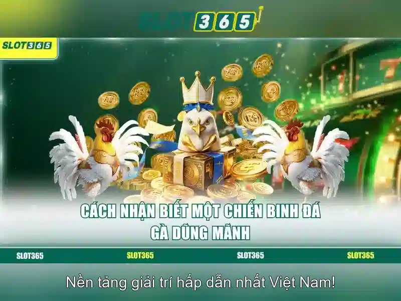 'Cung cấp trò chơi và nhà phát triển'
