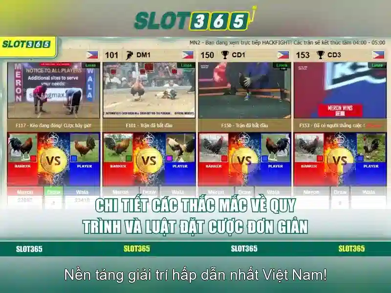 Kết luận và Lời Khuyên cho Người Chơi Kết luận và Lời Khuyên cho Người Chơi