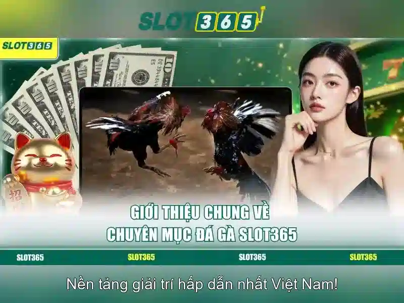 Độ tin cậy và an toàn Độ tin cậy và an toàn
