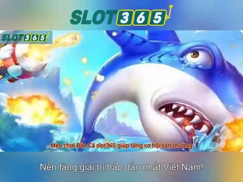 Giao diện người dùng và trải nghiệm di động Giao diện người dùng và trải nghiệm di động