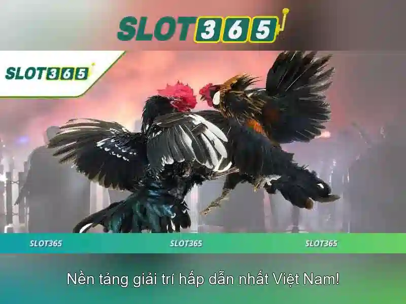 Slot365 – Trải nghiệm slot trực tuyến an toàn và thú vị