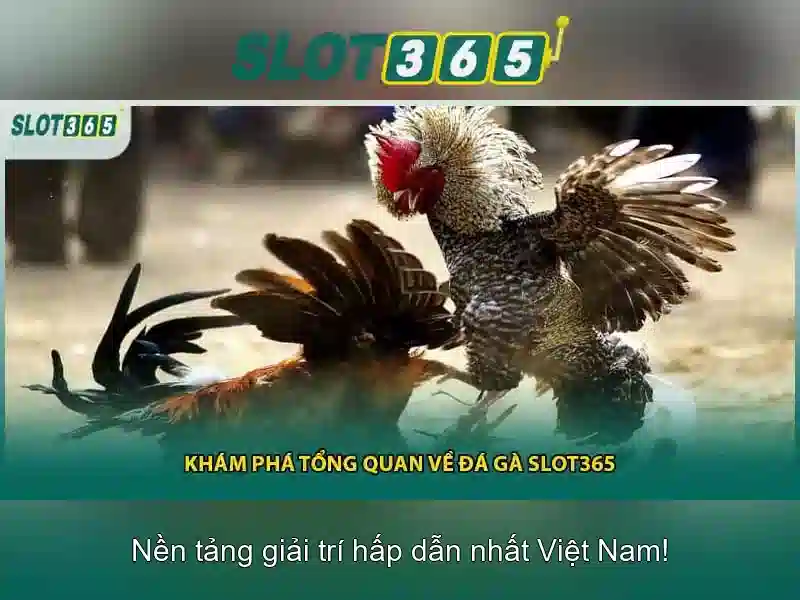 Slot365: Nền tảng đánh bạc trực tuyến hàng đầu