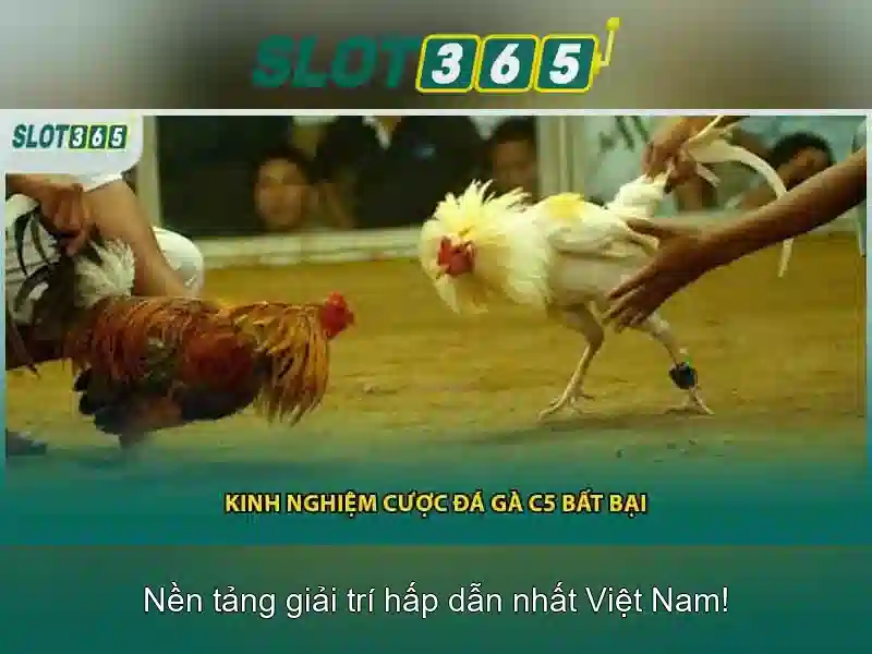 Mẹo chơi bắn cá 3 cây dễ ăn tiền nhà cái