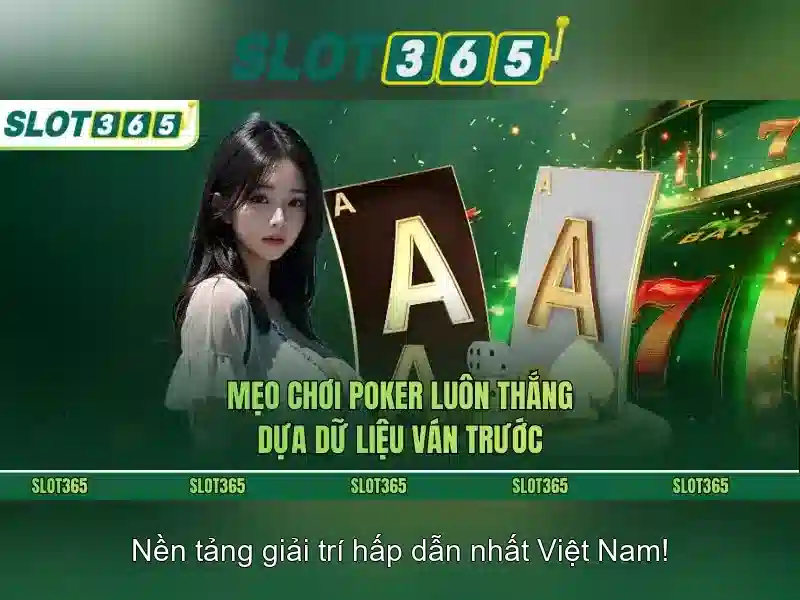 Khuyến mãi và chương trình thưởng