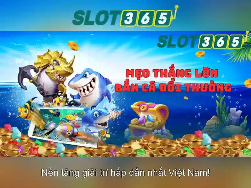 Khuyến mãi và chương trình thưởng