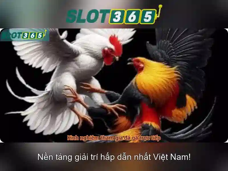 Slot365 - Trải nghiệm chơi slot thú vị