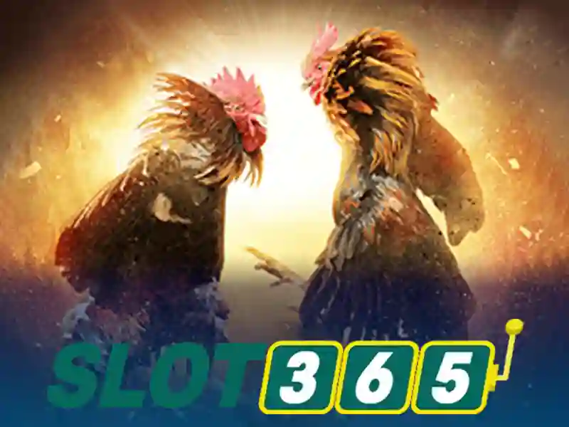 Slot365: Nền tảng chơi slot trực tuyến uy tín và giải trí