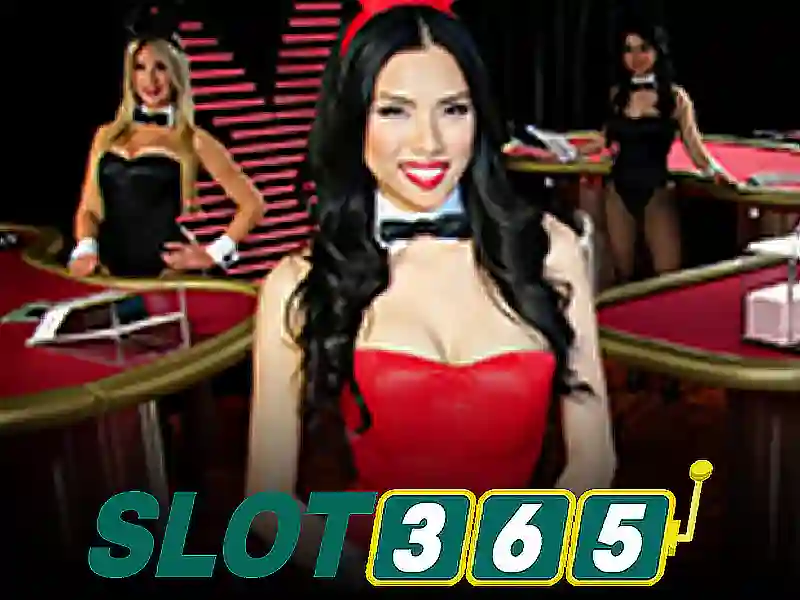 Slot365: Nền tảng Slot và trò chơi trực tuyến