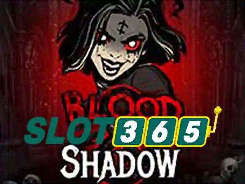 Trải nghiệm người dùng và phản hồi cộng đồng