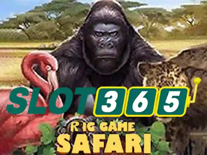 An toàn và các khuyến nghị khi tham gia Slot365
